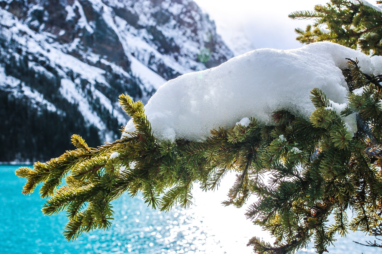 Exploring the Natural Wonders of Canada’s Banff National Park